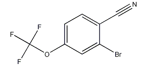 2-Bromo-4-(Trifluoromethoxy)benzonitrile cas no. 1214334-83-4 98%